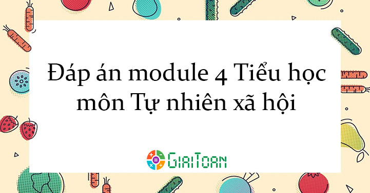 P N Module Ti U H C M N T Nhi N X H I Tr C Nghi M M Un