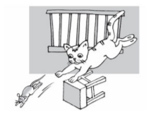 Bài 24 trang 46 SGK Toán 8 tập 1