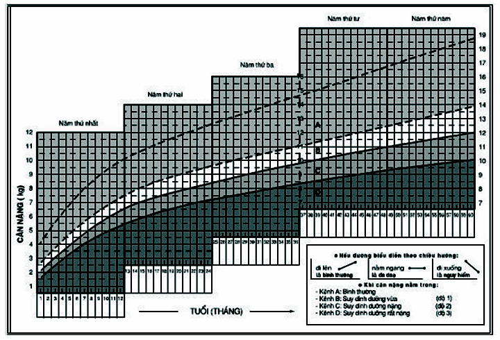 Bài 56 trang 78 SGK Toán 7 tập 1