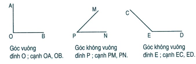 Bài 5 trang 78 Toán lớp 3 Luyện tập chung