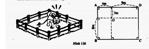 Bài 62 trang 133 SGK Toán 7 tập 1