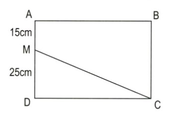 Bài 3 trang 90 Toán lớp 5