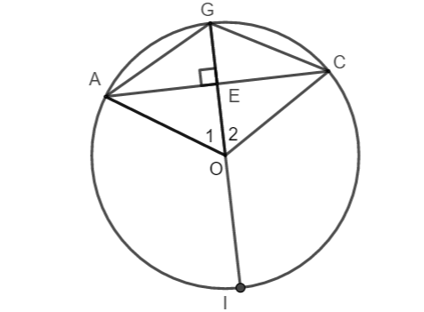 Bài 14 trang 72 SGK Toán 9 tập 2