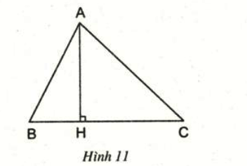 Bài 8 trang 59 SGK Toán 7 tập 2