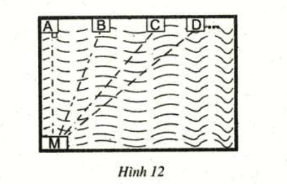 Bài 9 trang 59 SGK Toán 7 tập 2