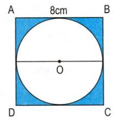 Bài 4 trang 101 Toán lớp 5 Luyện tập chung