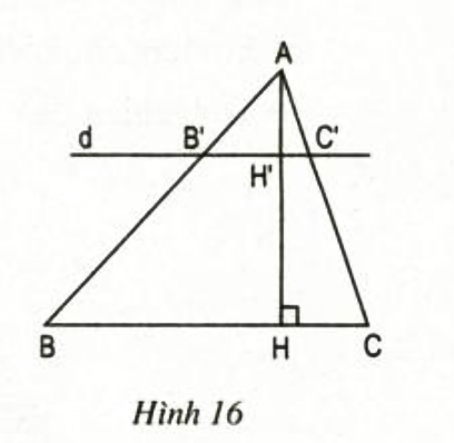 Bài 10 Trang 63 SGK Toán 8 tập 2
