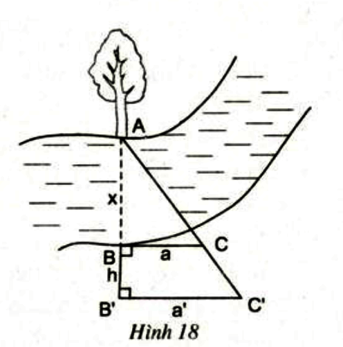 Bài 12 trang 64 SGK Toán 8 tập 2