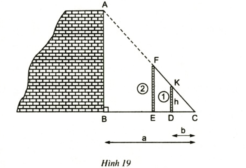 Bài 13 trang 64 SGK Toán 8 tập 2