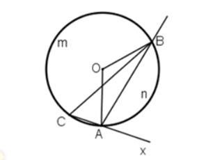 Bài 30 trang 79 SGK Toán 9 tập 2