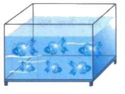 Bài 1 trang 128 Toán lớp 5