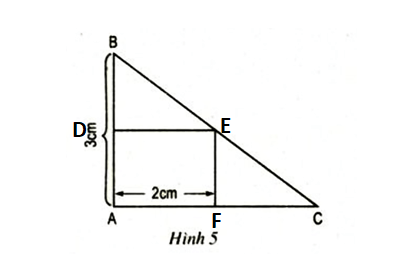 Bài 49 trang 32 SGK Toán 8 tập 2