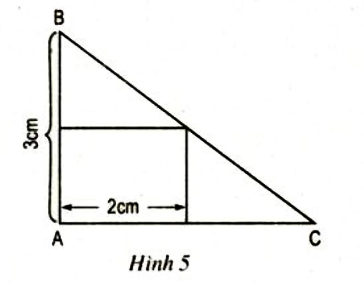 Bài 49 trang 32 SGK Toán 8 tập 2