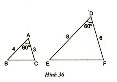 Câu hỏi 1 trang 75 SGK Toán 8 tập 2
