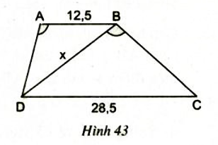 Bài 36 trang 79 SGK Toán 8 tập 2