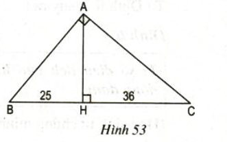 Bài 51 trang 84 SGK Toán 8 tập 2