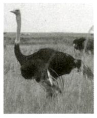 Bài 1 trang 139 Toán lớp 5 Luyện tập