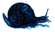 Bài 2 trang 143 Toán lớp 5 Luyện tập