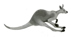 Bài 4 trang 142 Toán lớp 5