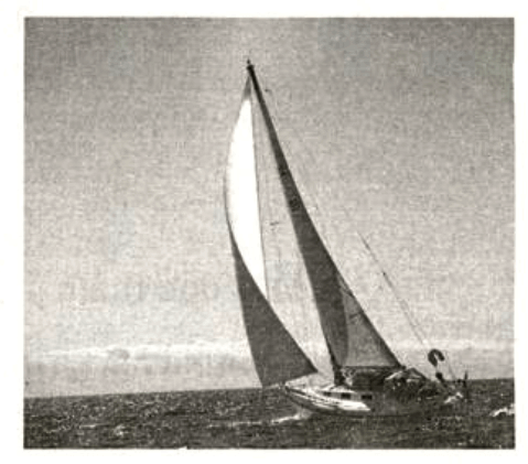 Bài 3 trang 31 SGK Toán 9 tập 2