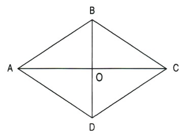 Bài 2 trang 141 Toán lớp 4