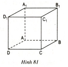 Bài 6 Trang 100 SGK toán 8 tập 2
