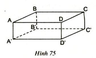 Câu hỏi 1 Trang 98 SGK toán 8 tập 2