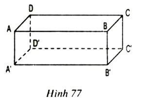 Câu hỏi 2 Trang 99 SGK Toán 8 tập 2