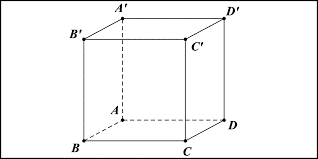 Bài 11 Trang 104 SGK toán 8 tập 2