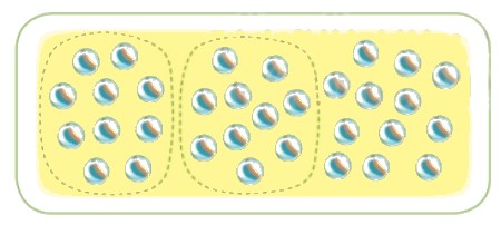 Bài 1 trang 8 Toán lớp 2 tập 1 SGK Kết nối tri thức với cuộc sống