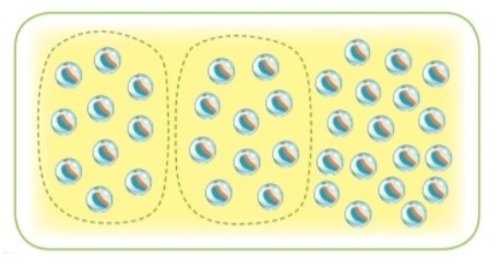 Bài 1 trang 8 Toán lớp 2 tập 1 SGK Kết nối tri thức với cuộc sống