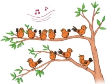 Bài 1 trang 16 Toán lớp 2 tập 1 SGK Kết nối tri thức với cuộc sống