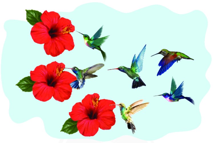 Bài 3 trang 33 Toán lớp 1 tập 1 SGK Chân trời sáng tạo