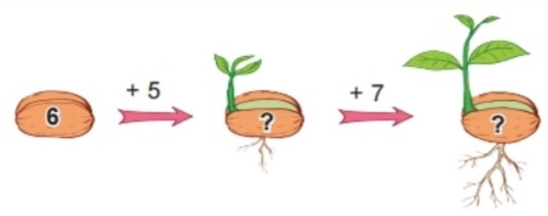 Bài 2 trang 31 Toán lớp 2 tập 1 SGK Kết nối tri thức với cuộc sống