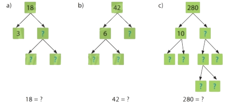 Thực hành 3 trang 33 Toán 6 tập 1 SGK Chân trời sáng tạo