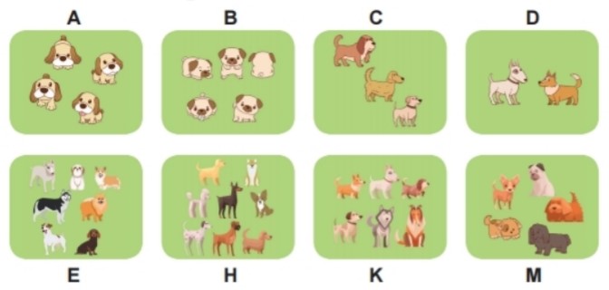 Bài 4 trang 39 Toán lớp 2 tập 1 SGK Chân trời sáng tạo