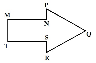 Bài tập ôn tập chủ đề: Ôn tập và bổ sung Sách Chân trời sáng tạo