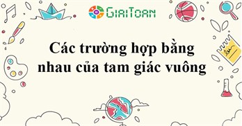 🖼️