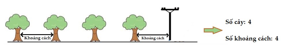 Bài toán trồng cây lớp 4
