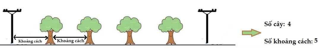 Bài toán trồng cây lớp 4
