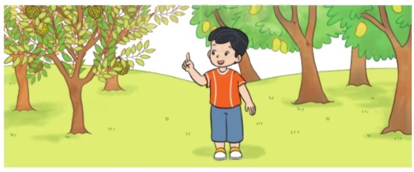 Bài 3 trang 25 Toán lớp 2 tập 1 SGK Cánh Diều