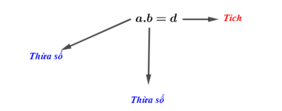 Toán lớp 6 Bài 5 Phép nhân và phép chia số tự nhiên Sách Kết nối tri thức với cuộc sống