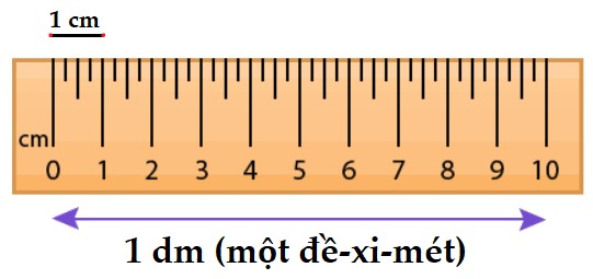 Toán lớp 2 Bài 4: Đề-xi-mét sách Cánh Diều