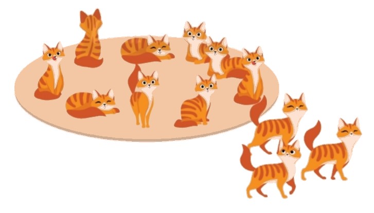 Bài 3 trang 63 Toán lớp 2 tập 1 SGK Chân trời sáng tạo