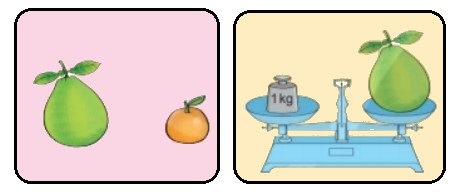 Bài 2 trang 67 Toán lớp 2 tập 1 SGK Kết nối tri thức với cuộc sống