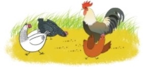 Bài 3 trang 72 Toán lớp 2 tập 1 SGK Chân trời sáng tạo