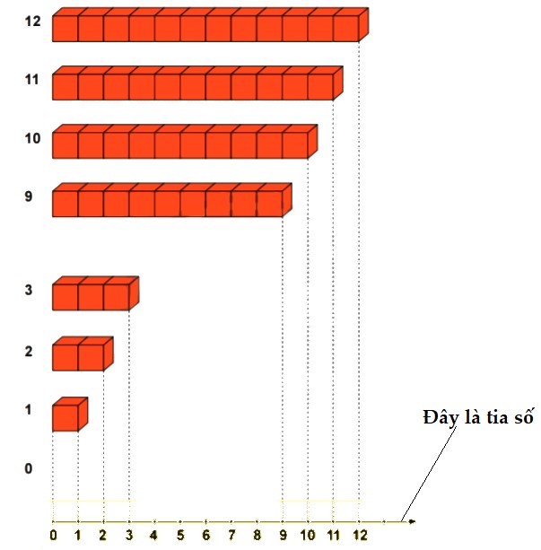 Toán lớp 2 Bài 7: Tia số - Số liền trước, số liền sau sách Chân trời sáng tạo