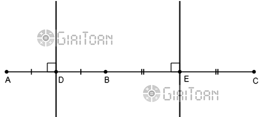 Bài 20 trang 87 SGK Toán 7 tập 1