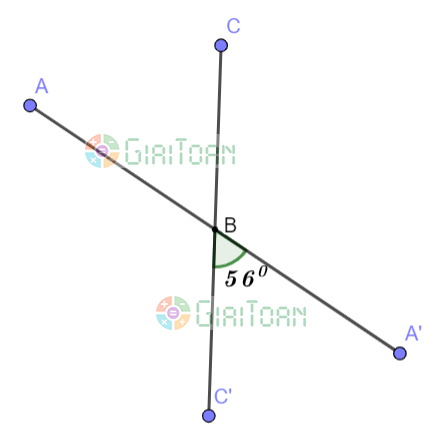 Bài 5 trang 82 SGK Toán 7 tập 1