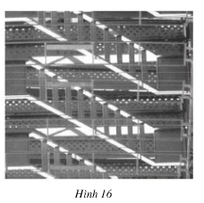 Bài 23 trang 89 SGK Toán 7 tập 1